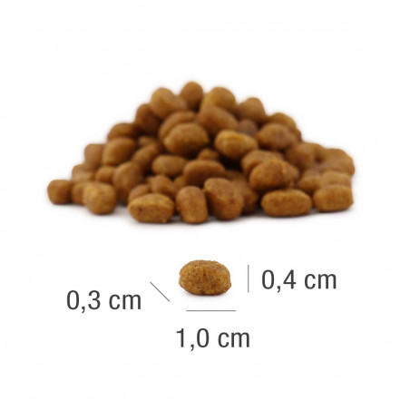 Platinum MeatCrisp Chicken Sausas pašaras kačiukams su vištiena