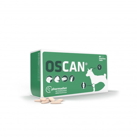 Oscan N60